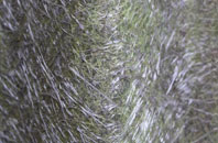 Hainford fibreglass roof work